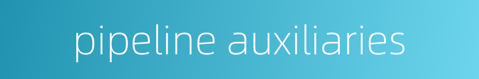 pipeline auxiliaries的同义词