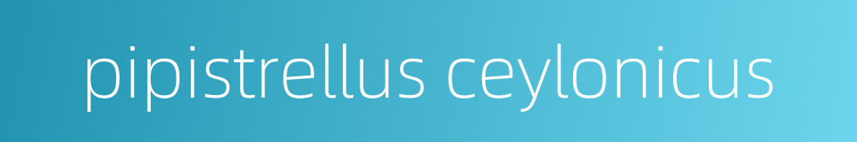 pipistrellus ceylonicus的同义词