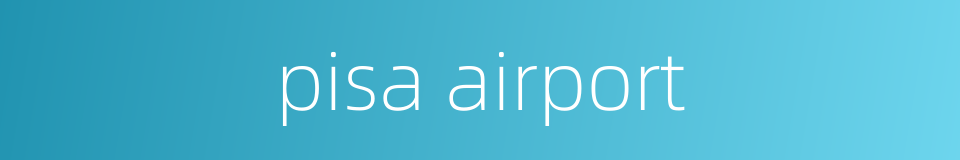 pisa airport的同义词