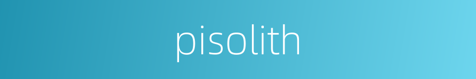 pisolith的同义词
