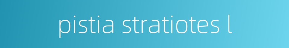 pistia stratiotes l的同义词