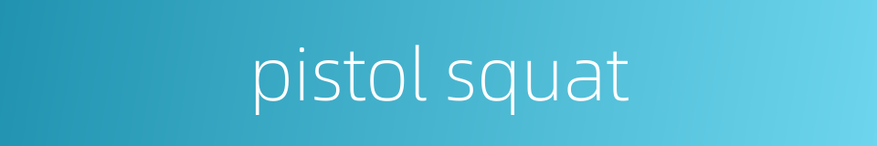 pistol squat的同义词