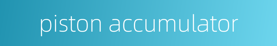 piston accumulator的同义词