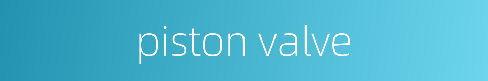 piston valve的同义词