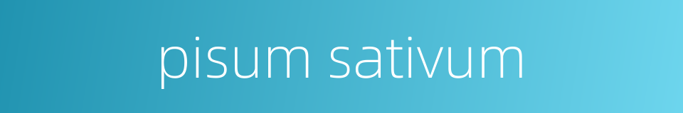 pisum sativum的同义词