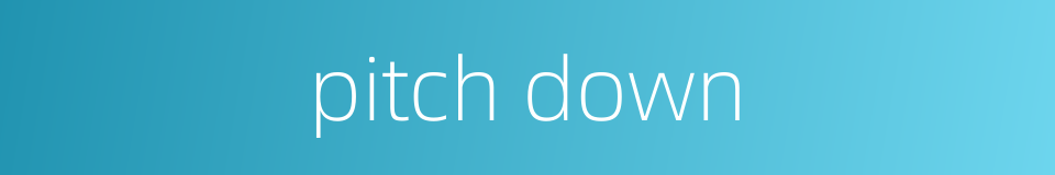 pitch down的同义词