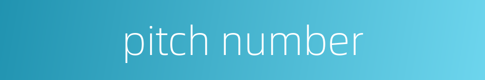 pitch number的同义词