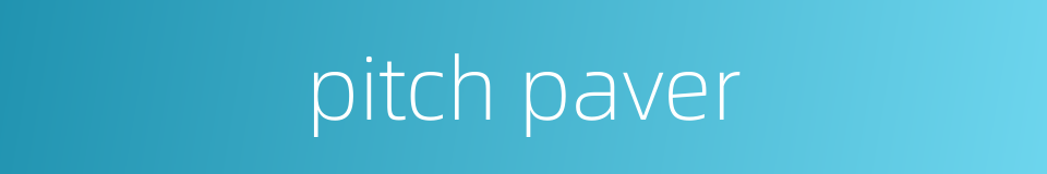 pitch paver的同义词