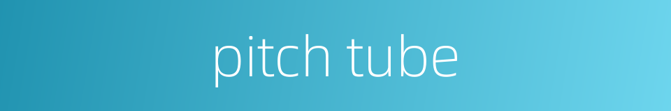 pitch tube的同义词