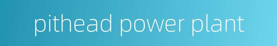 pithead power plant的同义词