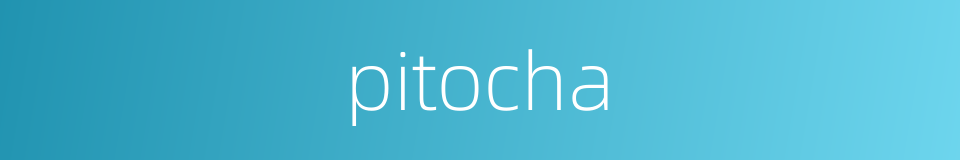 pitocha的同义词