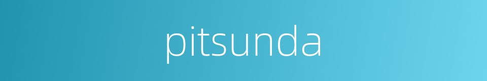 pitsunda的同义词