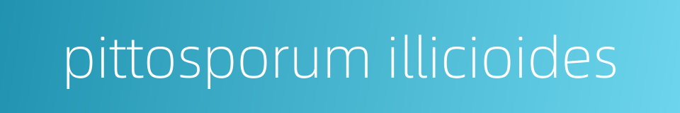 pittosporum illicioides的同义词