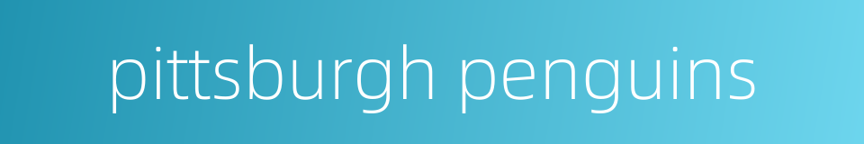 pittsburgh penguins的同义词