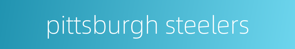 pittsburgh steelers的同义词