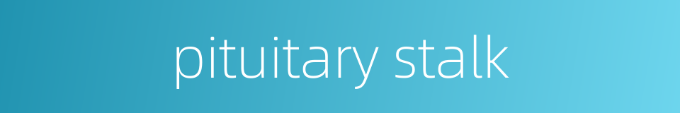 pituitary stalk的同义词