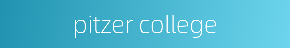 pitzer college的同义词