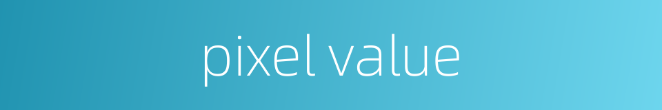 pixel value的同义词