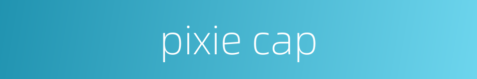 pixie cap的同义词