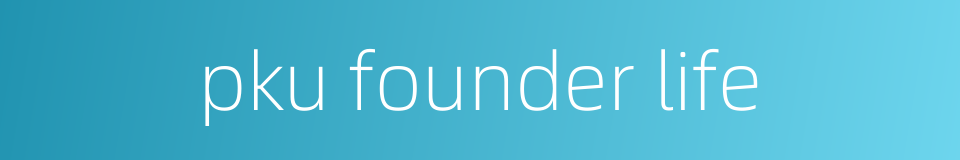 pku founder life的同义词