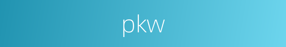 pkw的同义词