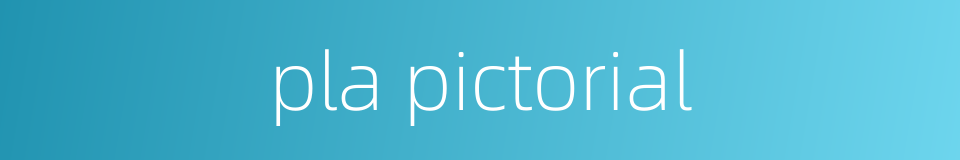 pla pictorial的同义词
