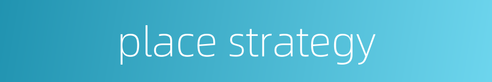 place strategy的同义词