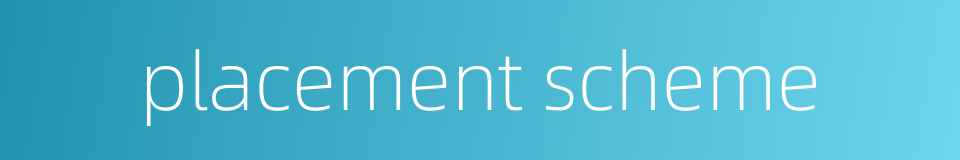 placement scheme的同义词