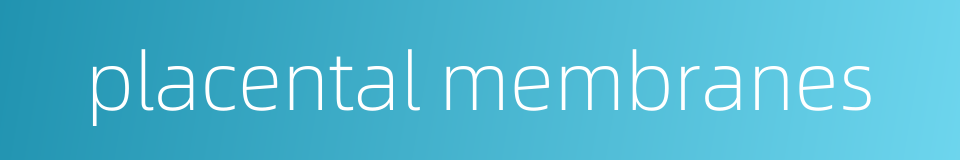 placental membranes的同义词