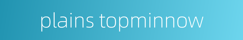 plains topminnow的同义词