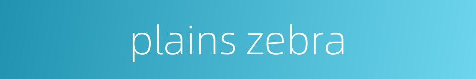 plains zebra的同义词