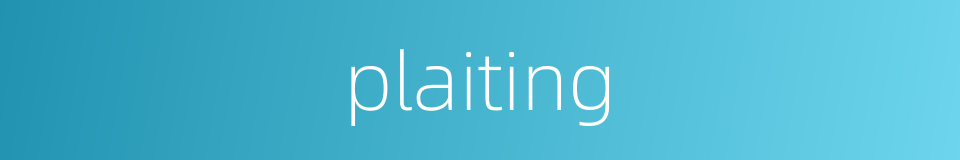 plaiting的同义词