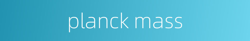 planck mass的同义词