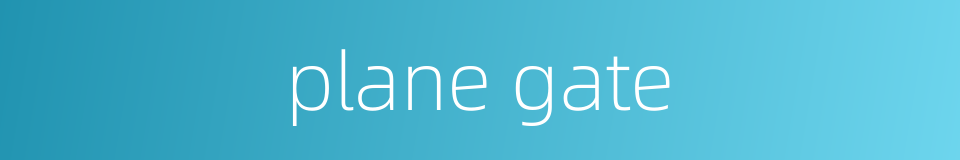 plane gate的同义词