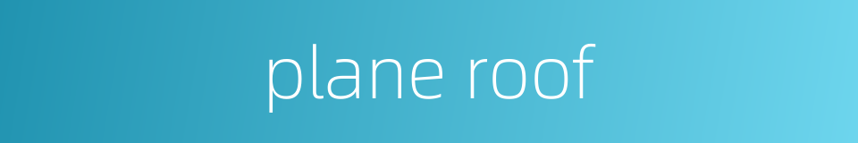 plane roof的同义词