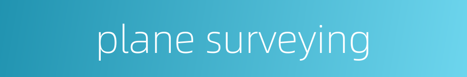 plane surveying的同义词