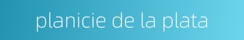 planicie de la plata的同义词