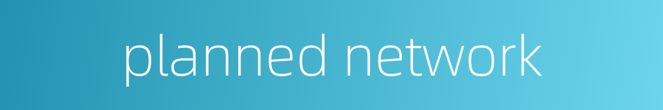 planned network的同义词