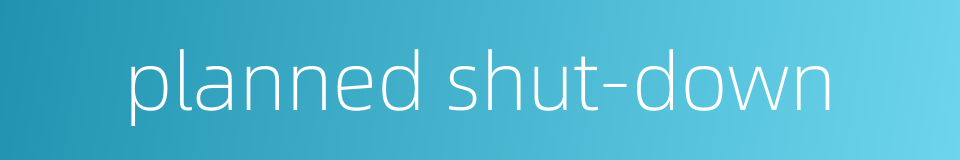 planned shut-down的同义词