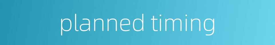 planned timing的同义词