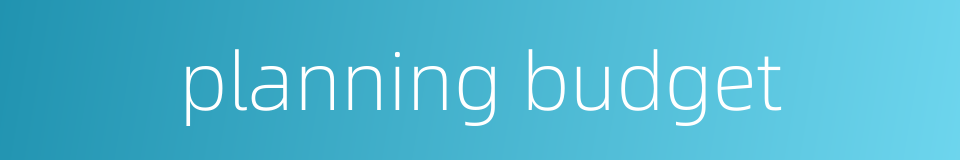 planning budget的同义词
