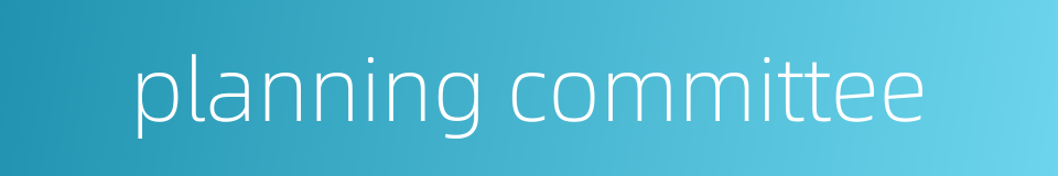 planning committee的同义词