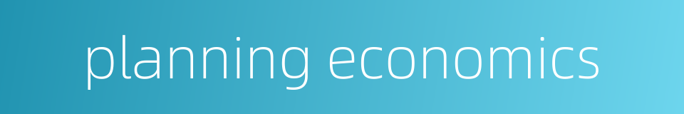 planning economics的同义词