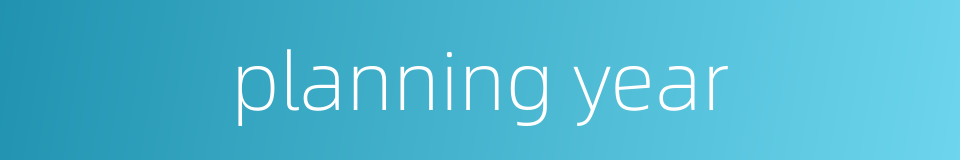 planning year的同义词