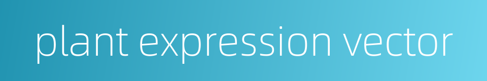 plant expression vector的同义词