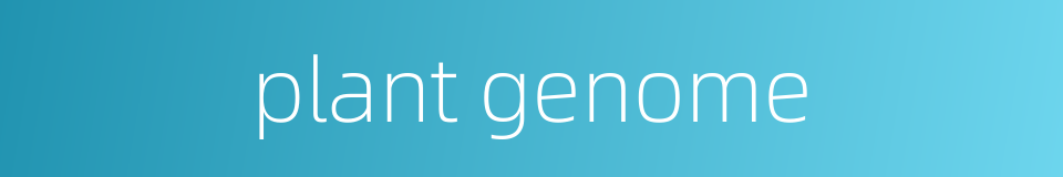 plant genome的同义词