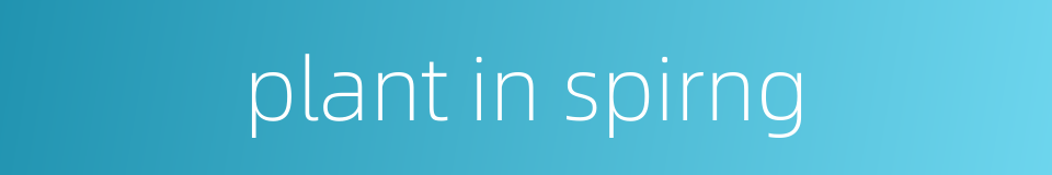 plant in spirng的同义词