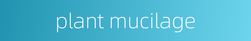 plant mucilage的同义词
