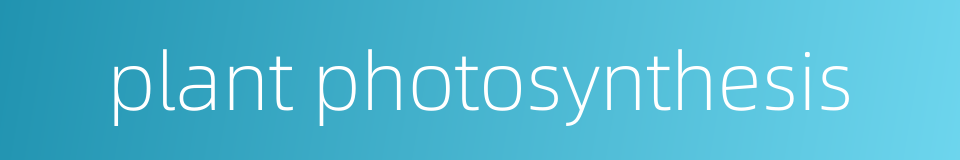 plant photosynthesis的同义词