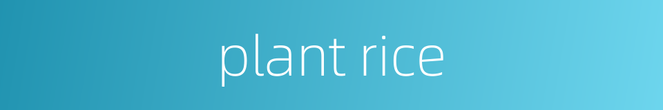 plant rice的同义词